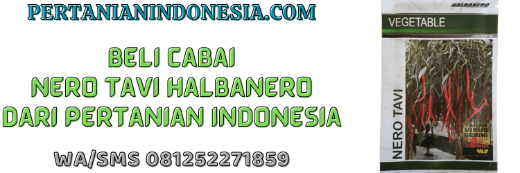 jual,murah,terjangkau,toko pertanian terdekat,pertanian indonesia